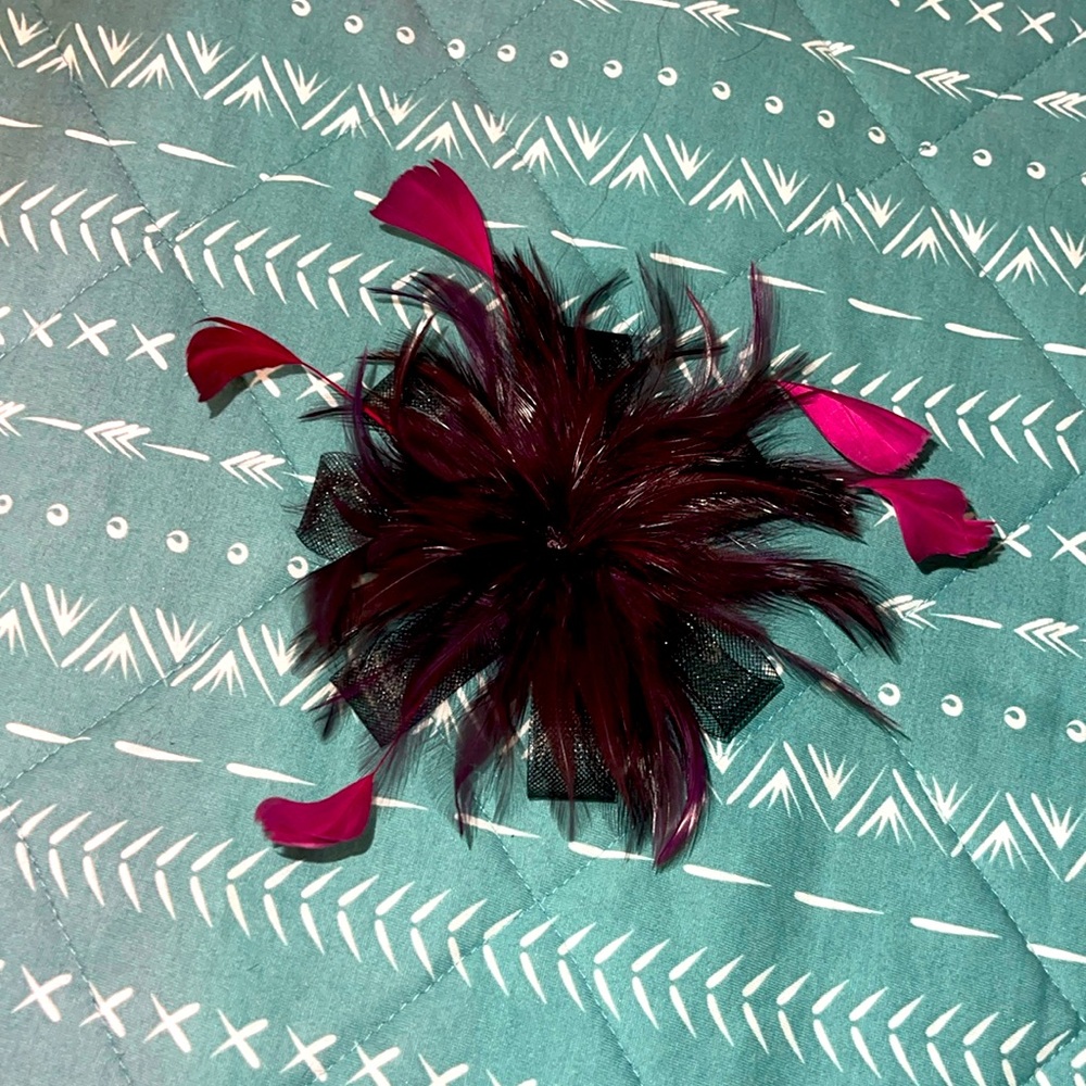 Burgundy Feather accessory
